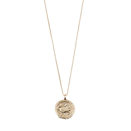 ARIES Zodiac Sign Coin Necklace,gold plated