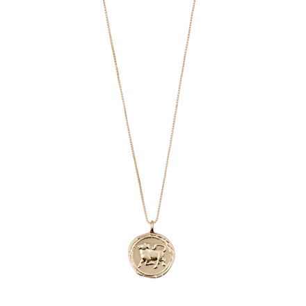 TAURUS Zodiac Sign Coin Necklace,gold plated