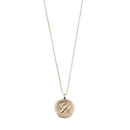 CANCER Zodiac Sign Coin Necklace,gold plated