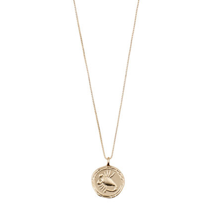 SCORPIO Zodiac Sign Coin Necklace,gold plated