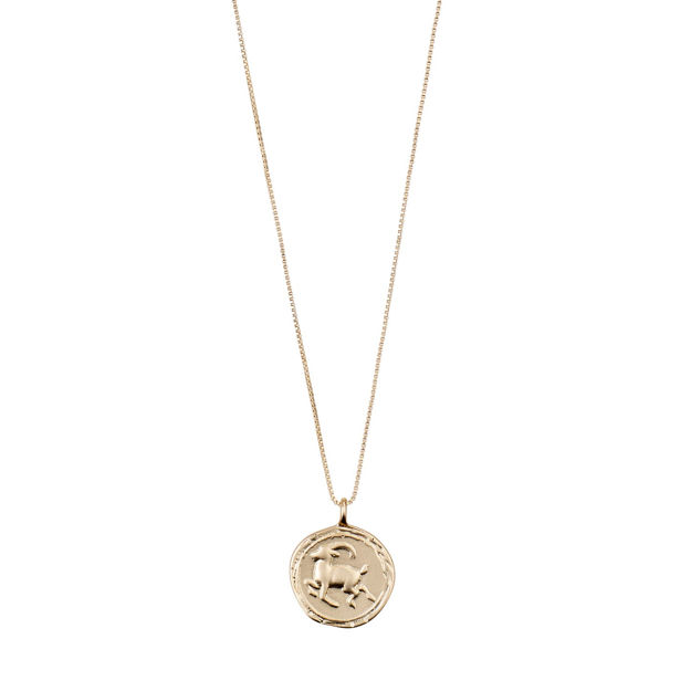 CAPRICORNUS Zodiac Sign Coin Necklace,gold plated