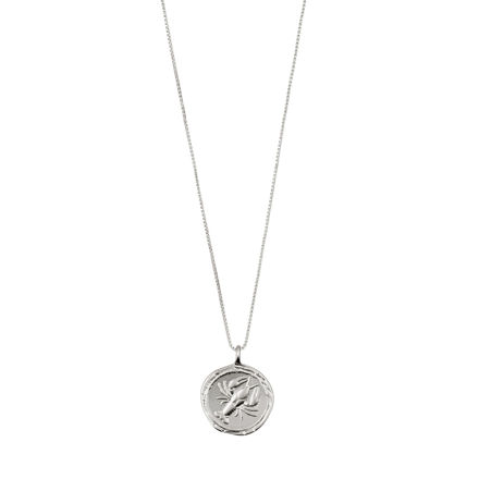 CANCER Zodiac Sign Coin Necklace,silver plated