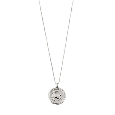 CAPRICORNUS Zodiac Sign Coin Necklace,silver plated