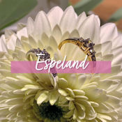 Bilde for kategori Espeland