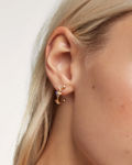 Five earrings gold plated multi