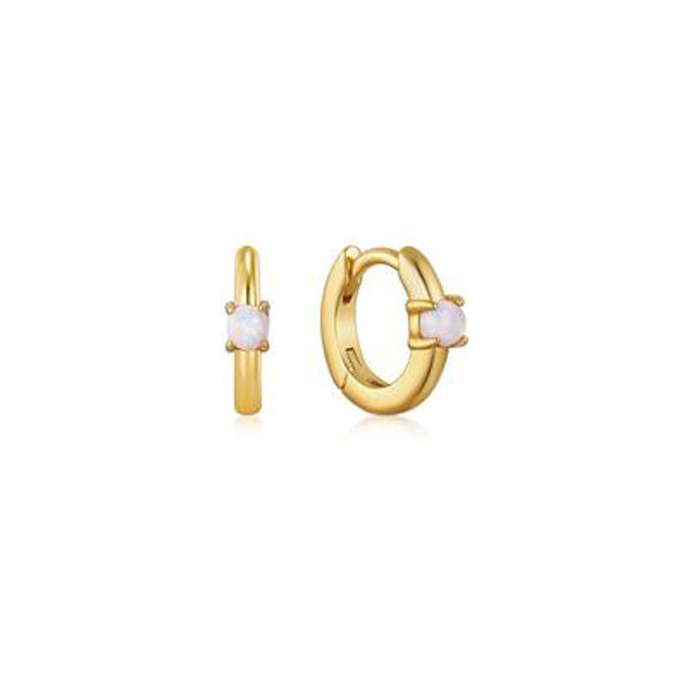 ANIA HAIE HOOP EARRINGS E035-15G