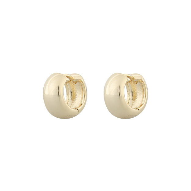 Nine small ring ear plain g