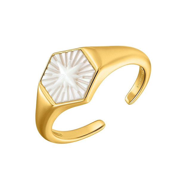 Bilde av ANIA HAIE ADJUSTABLE RING R030-04G