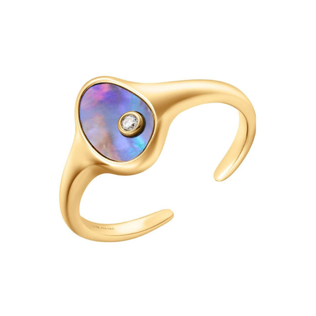 Bilde av ANIA HAIE TIDAL ABALONE ADJUSTABLE RING R027-01G