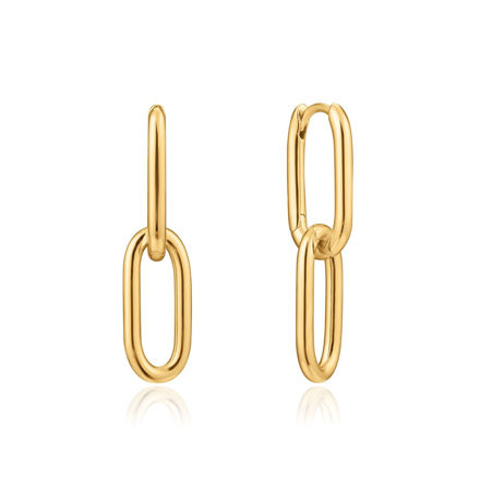 Bilde av ANIA HAIE CABLE LINK EARRINGS E021-01G