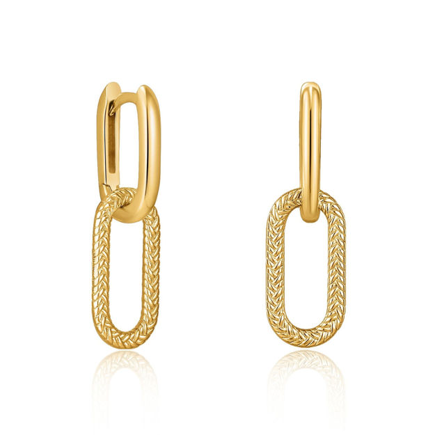 Bilde av ANIA HAIE EARRING E036-04G