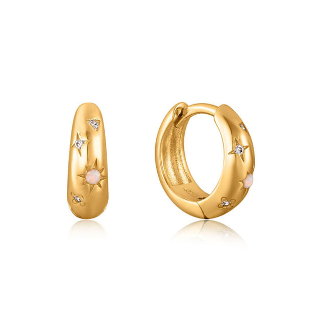 Bilde av ANIA HAIE HOOP EARRINGS E034-05G