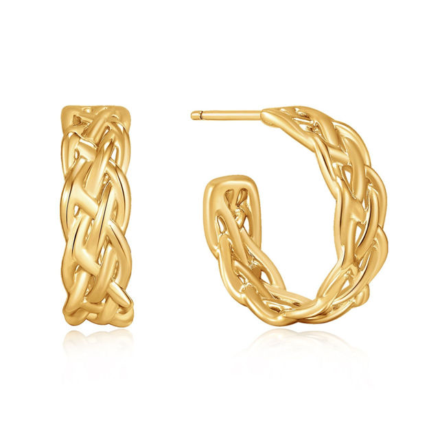 Bilde av ANIA HAIE HOOP EARRINGS E036-05G