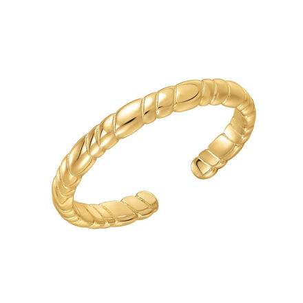 Bilde av ANIA HAIE RING R038-01G