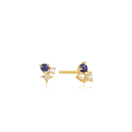 Bilde av ANIA HAIE STUD EARRINGS E039-01G-L