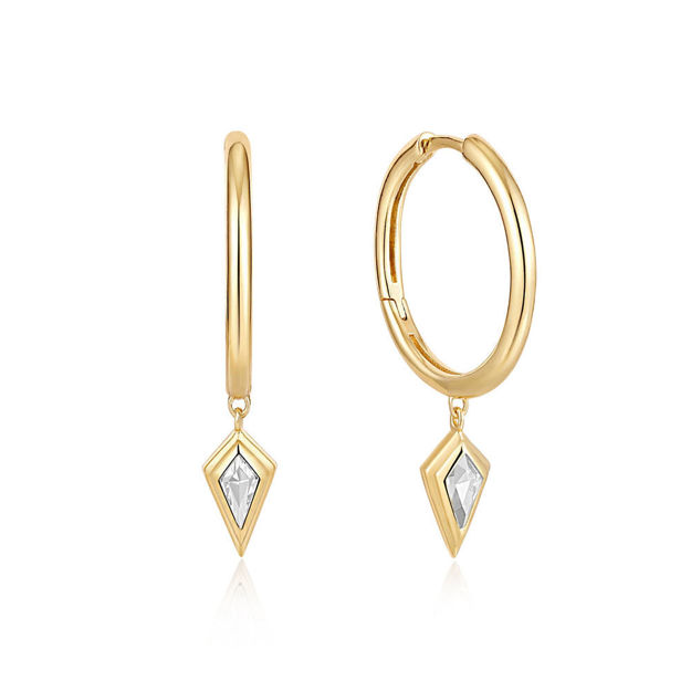 Bilde av ANIA HAIE HOOP EARRINGS E041-05G-W