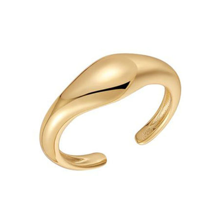 Bilde av ANIA HAIE ADJUSTABLE RING R044-02G