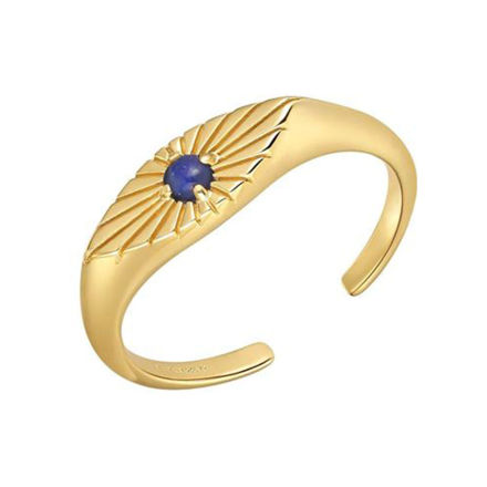 Bilde av ANIA HAIE RING R039-02G-L