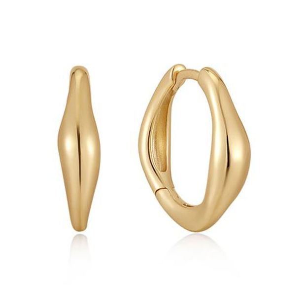 Bilde av ANIA HAIE HOOP EARRINGS E044-03G