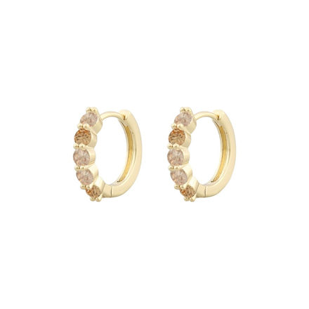 Vienna small stone ring ear g/mix champagne