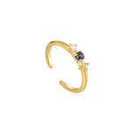 ANIA HAIE RING R039-01G-L