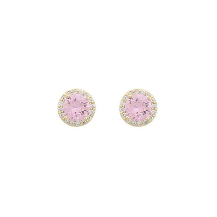 Park small stone ear g/pink