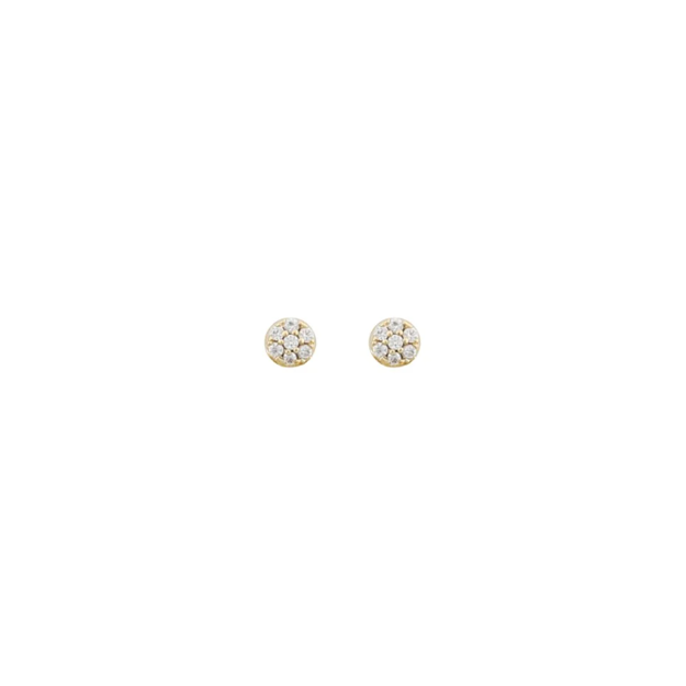 Illinois small stone ear g/clear