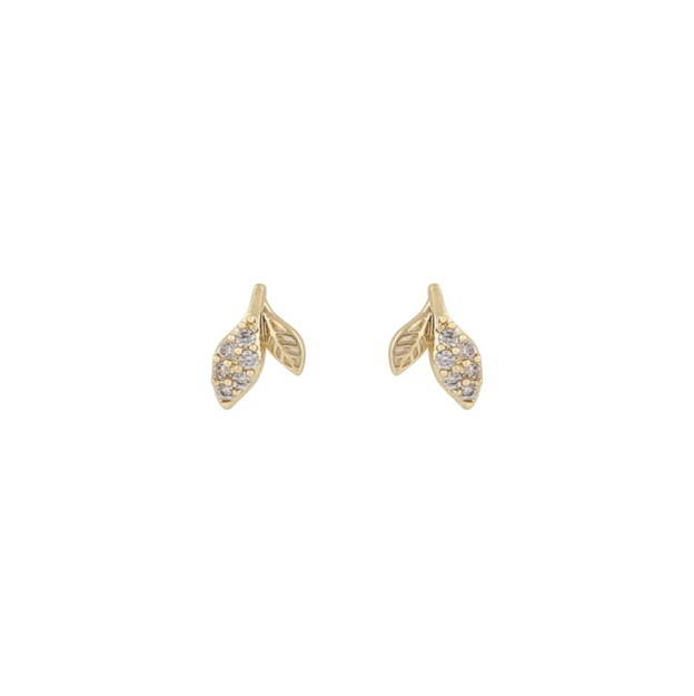 Meya leaf small ear g/clear