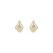Aero ear plain g
