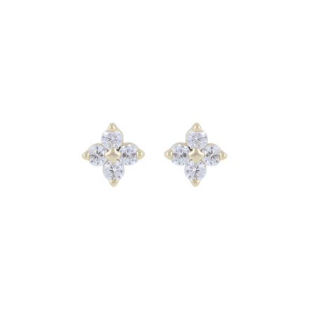 Envy small ear g/clear