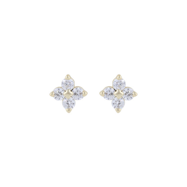 Envy small ear g/clear