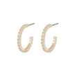 Envy thin oval ear g/clear