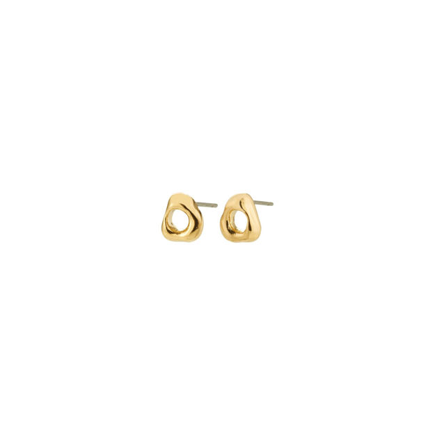 FREE earrings gold-plated