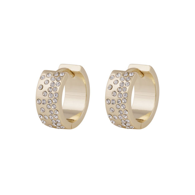 Sprinkles wide ring ear g/clear