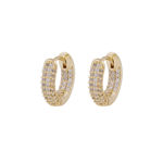 Liz crystal ring ear g/clear