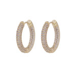Liz big crystal ring ear g/clear