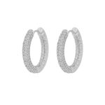 Liz big crystal ring ear s/clear