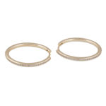 Essential Amsterdam crystal ear 30 g/clear