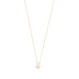 Stellaris pendant neck 42 g/clear
