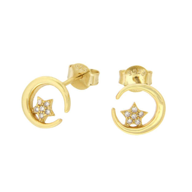 Forgylt sølv øredobber CAIA 9mm sirkel med stjerne og Cubic Zirconia