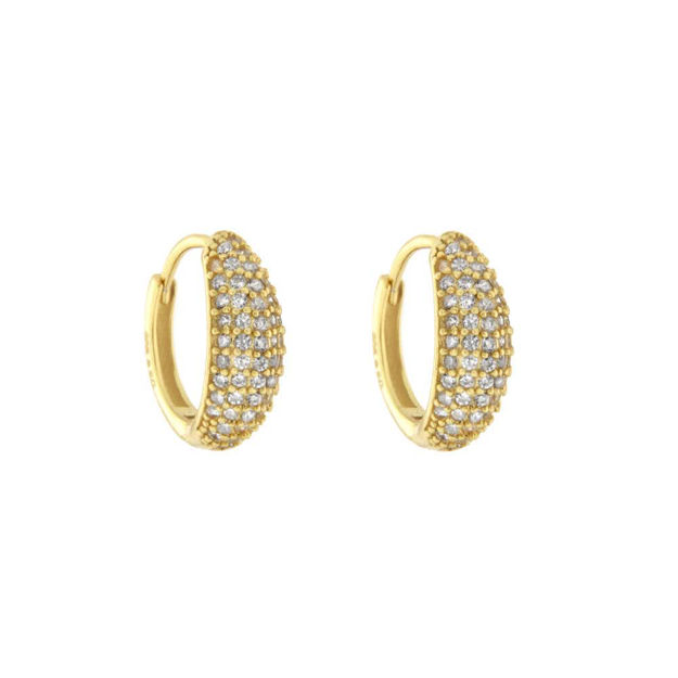 Forgylt sølv øreringer Cubic Zirconia 5mm 13mm