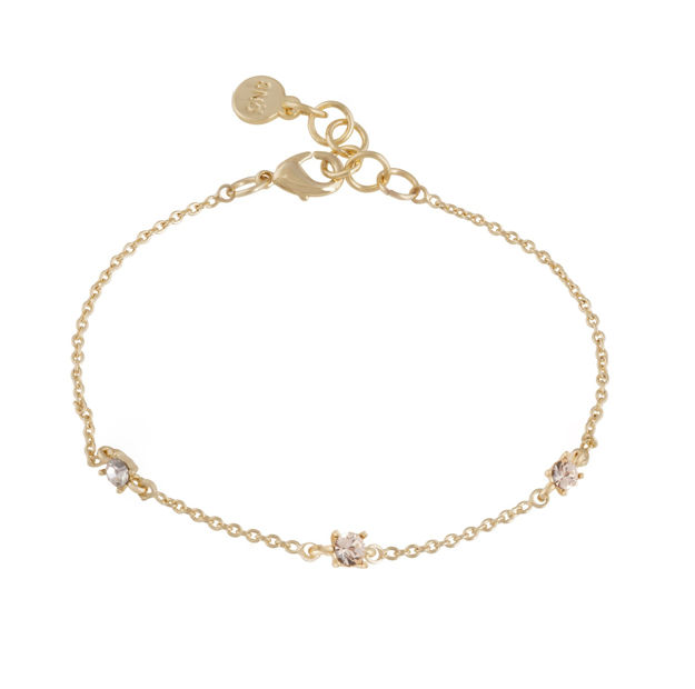 Noctelle chain brace g/clear - Onesize