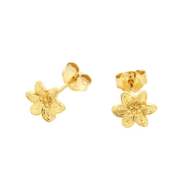 Forgylt sølv øredobber blomst