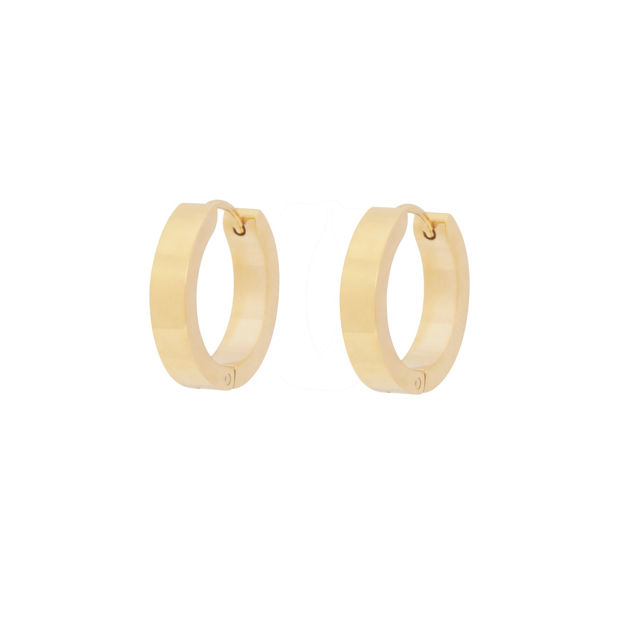 Liddy ring ear plain g