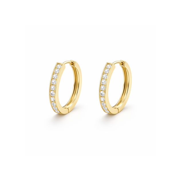 Caia Gold 375 øreringer med Cubic Zirconia