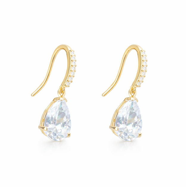 Caia Gold 375 øreheng dråpe & Cubic Zirconia