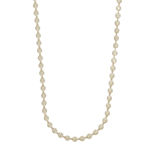 Rule starburst neck 42 plain g