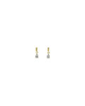 Trinity drop pin ear g/clear